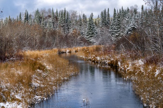 A stream and snow covered evergreens in Itasca County, Minnesota