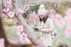 Tourist reading guide in spring countryside