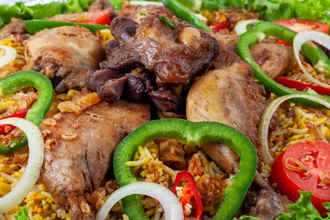 Biryani Food Closeup