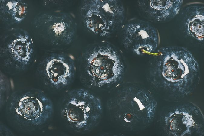 Freshly washed blueberries, horizontal composition