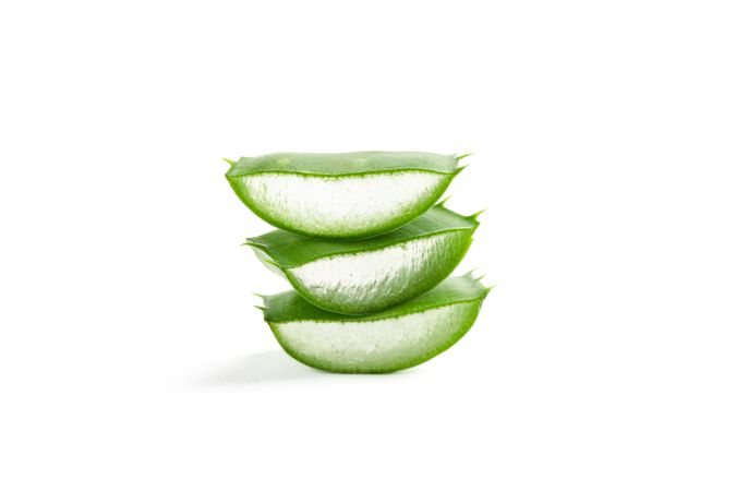 Stack of aloe vera slices isolated on studio background. Herbal medicine