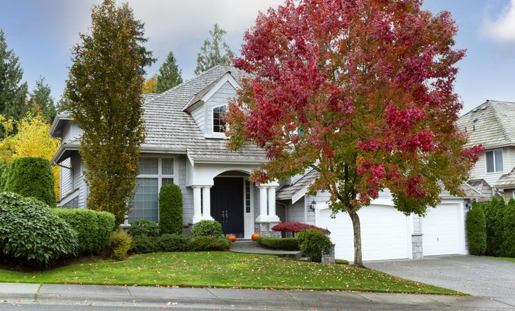 Suburban home in early autumn home