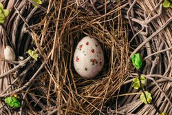 Decorated Easter egg in bird nest