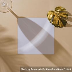 Wine glass with golden leaf and square paper on beige background with palm leaf shadow 5zjgm5