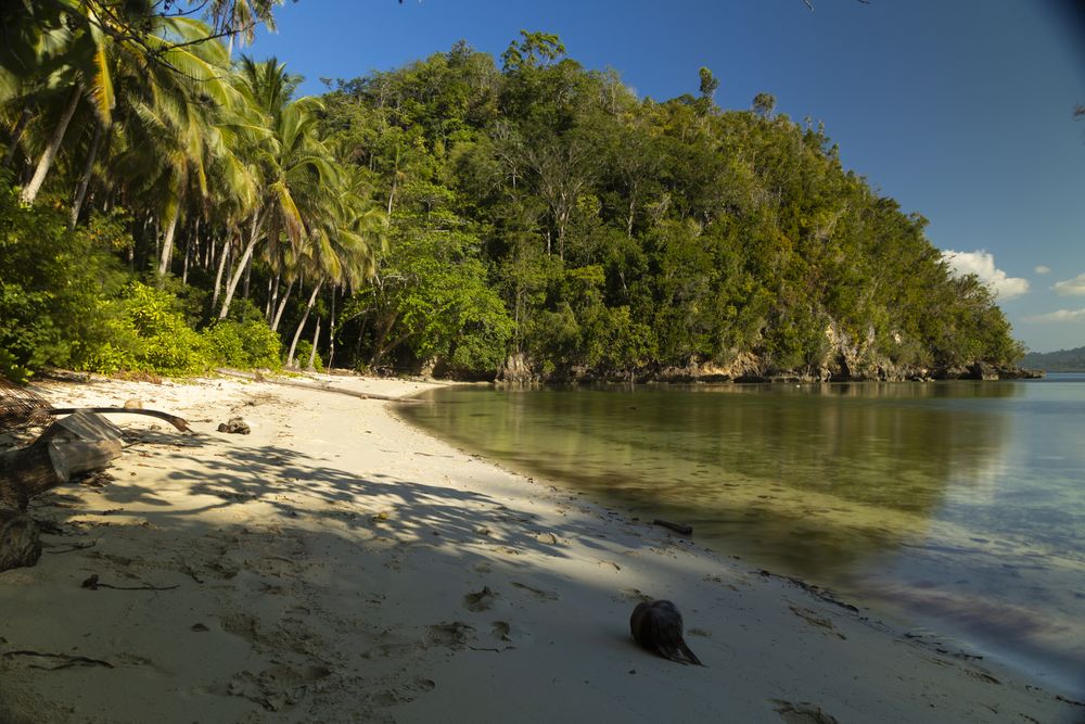 Landscape of tropical forest and Barracuda Beach, Pulau Kadidi Island, Togian Islands, Indonesia