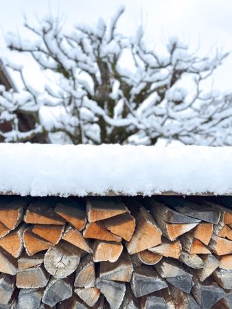 Dry fire wood under fresh snow