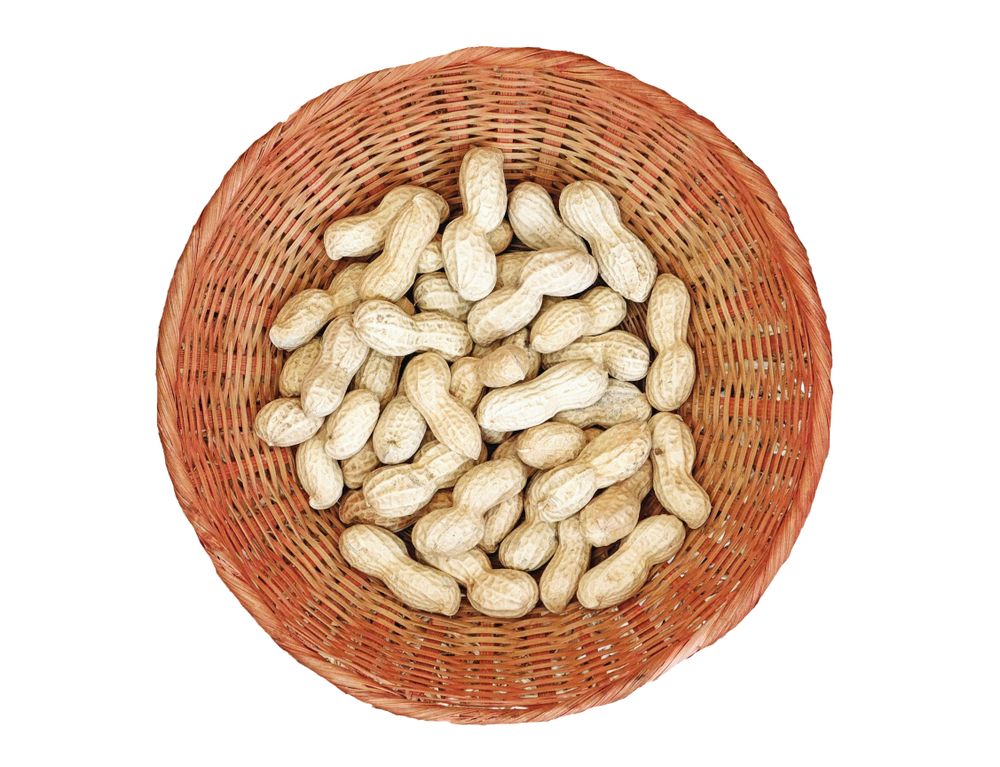 Peanuts In The Kitchen On Blank Background