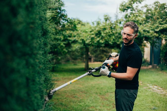 Man pruning arizonica hedge