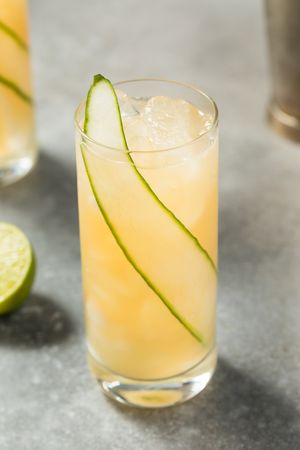 Cold Boozy English Garden Cocktail