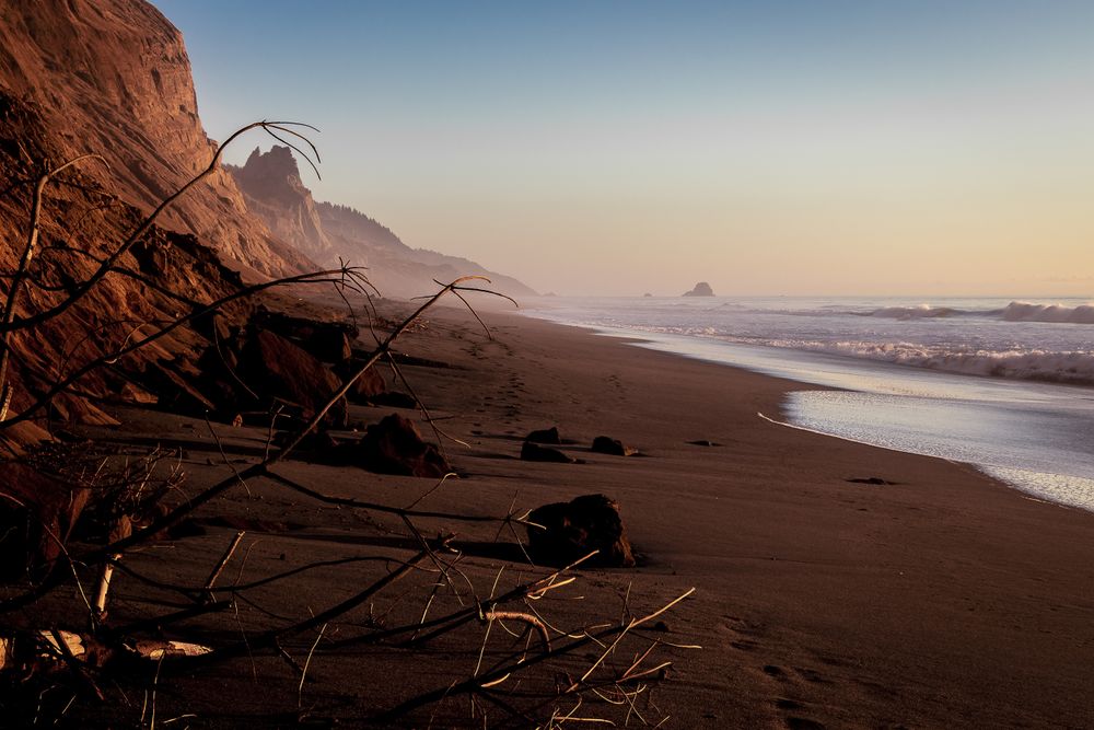 Side of cliffs with driftwood on Pacific Ocean beach