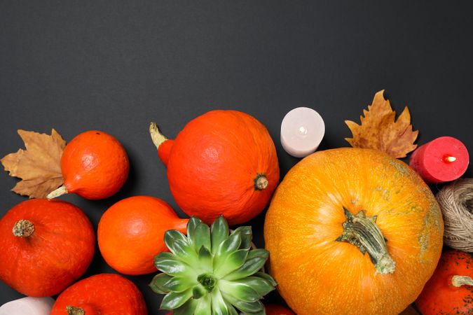 Composition with pumpkins, leaves and succulent on dark background, copy space