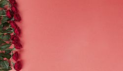Valentine’s day celebration with red roses on a soft red setting