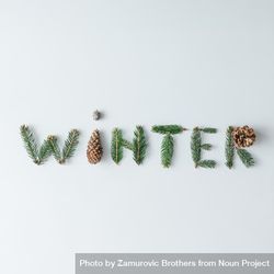"WINTER" made of tree branches and pine cones on light background 0JWYZ5