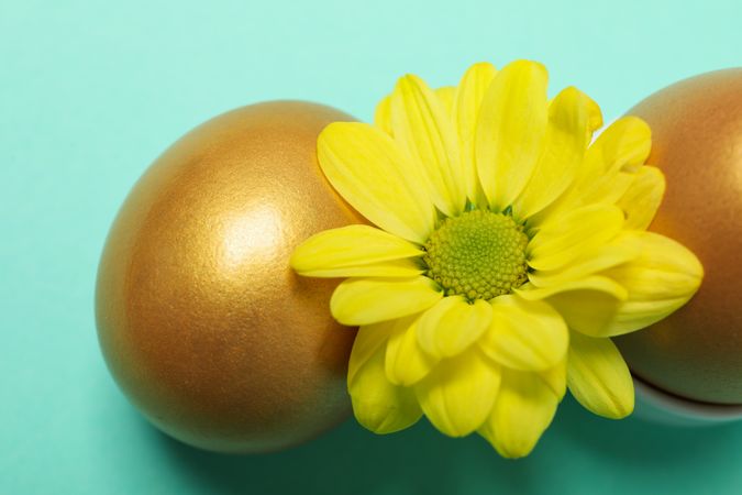 Pension rewards, returns and investment funding concepts, golden eggs