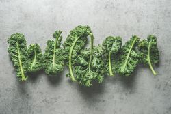 Green raw kale leaves in line on grey concrete kitchen table. Healthy seasonal winter vegetable. Cooking with fresh ingredients. Modern food background. Top view.
