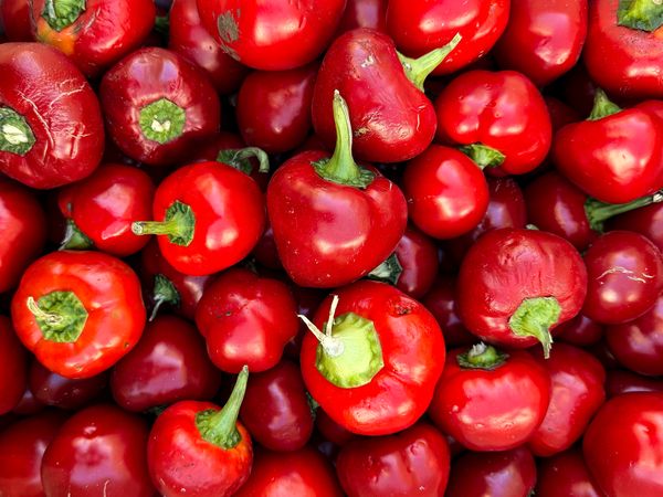 Red cherry chili peppers for sale at market