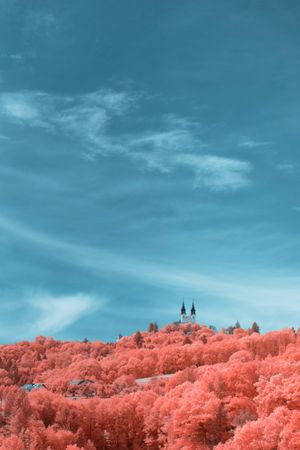 Infrared forest and castle against cloudy sky