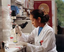 Bethesda, MD - USA, July 2008: A Black female researcher uses pipettes while seated 5oZy80