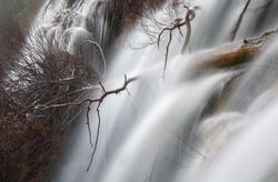 Wonderful waterfall near tree