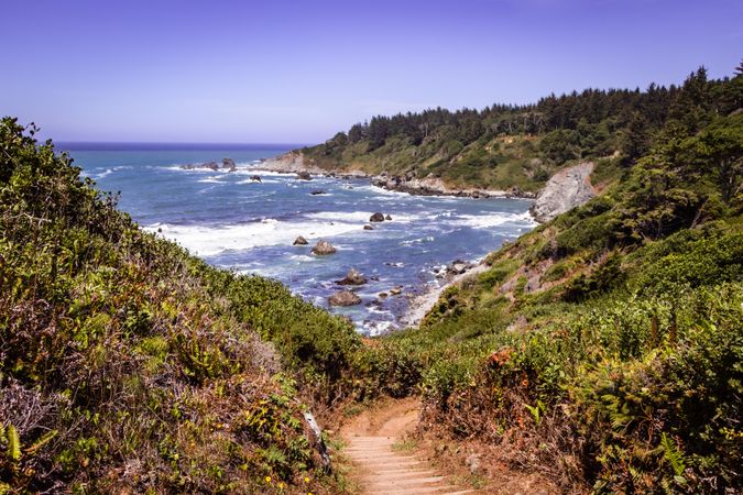 Path leading down to Pacific Ocean from Patrick’s Point