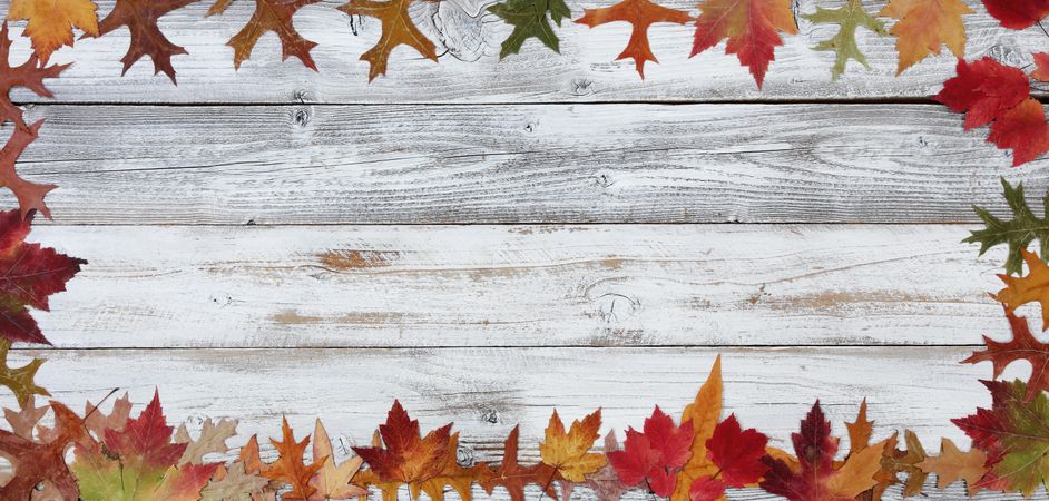 Autumn Leaves for the season holidays on light rustic wood