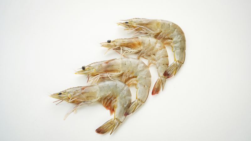 Fresh shrimps isolated on light background