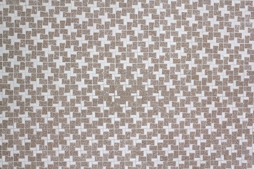 Vintage Asian geometric pattern is on floor