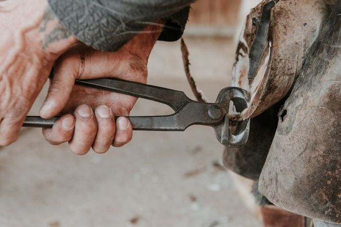 Man shoeing horse near stable