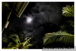 Shot looking up at moon behind clouds surrounded by palm trees 5rAjp0