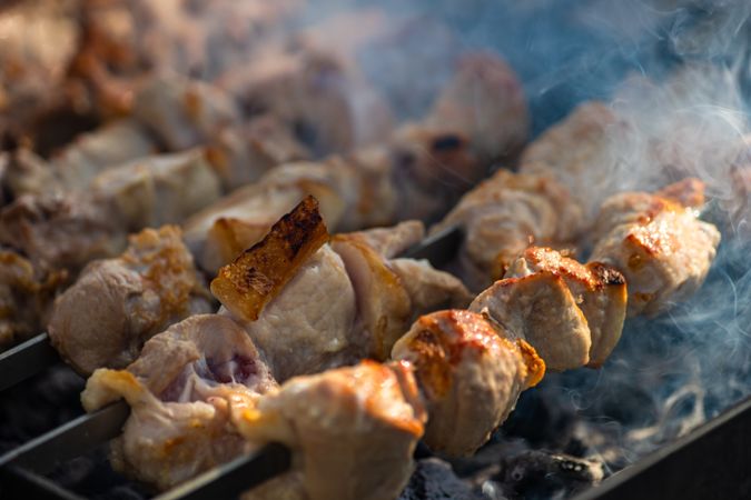 Pork meat bbq or shashlik on grill