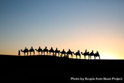 Silhouette of people riding a line of camels in desert during sunset 5wAOAb