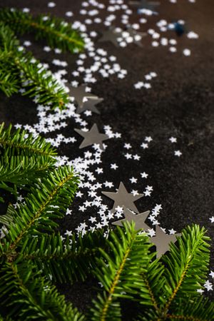 Christmas card concept of pine branches and star confetti