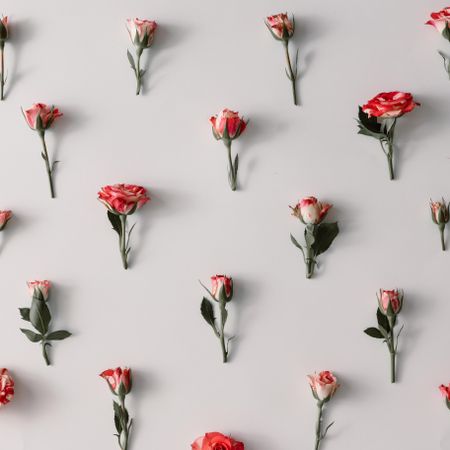 Colorful flowers pattern on light background