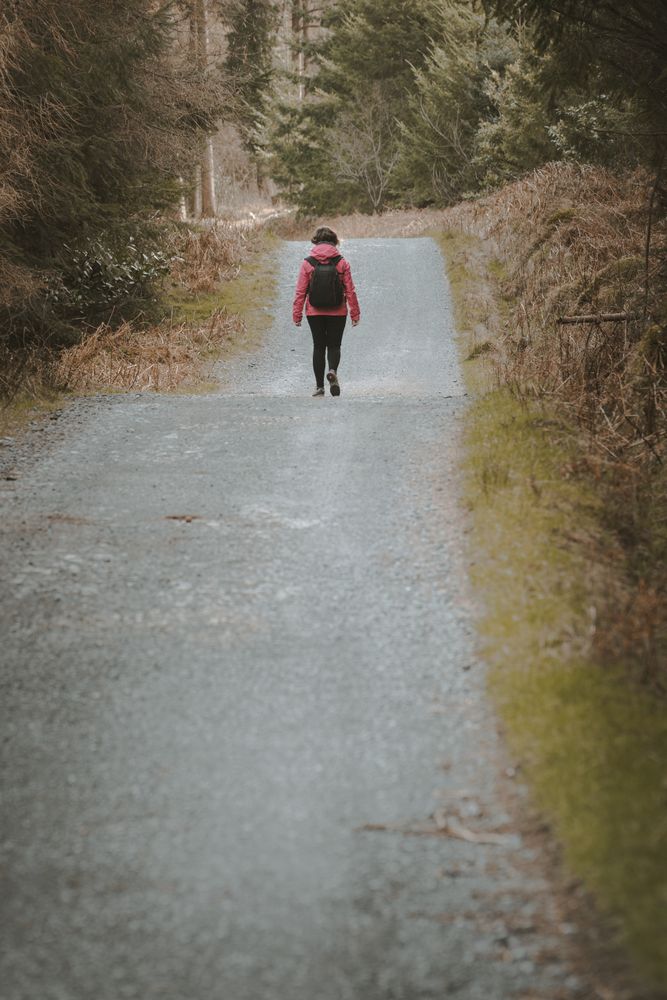 Tourist walking on footpath in forest park