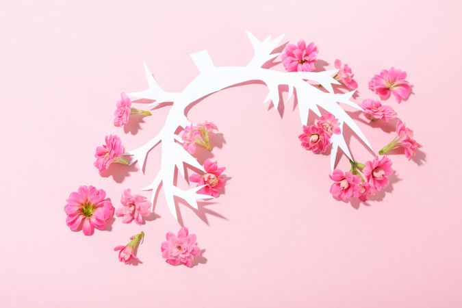 Paper lung bronchus with flowers on pink background