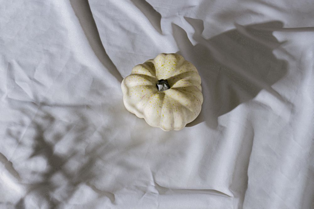 Retro styled still life arrangement with pumpkin and hard shadows