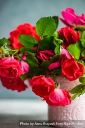 Close up of roses in pink vase 4NEmrl