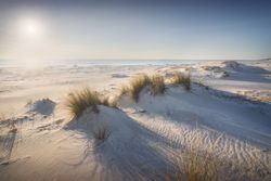 Sand beach and dunes, Vada Rosignano, Tuscany, Italy
