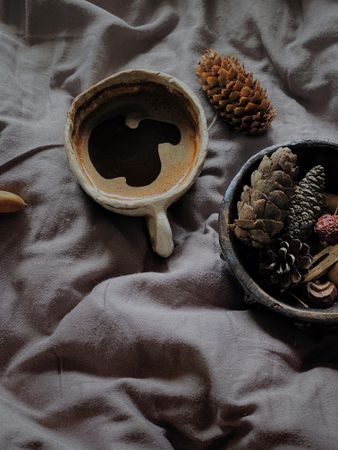 Top view of mug with coffee next to bowl of pine cones on bed with grey sheets