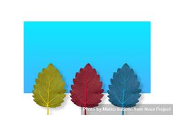 Three leaves on bright blue background 48AyYb