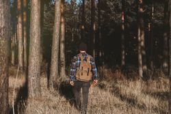 Confident tourist walking along autumn forest