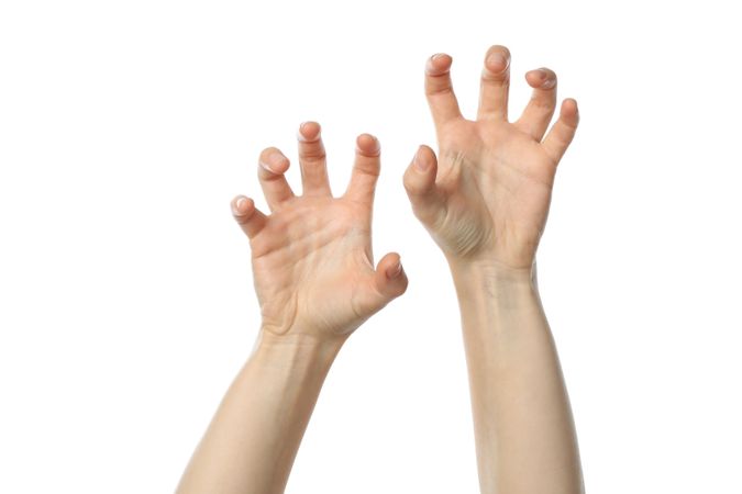 Female hands isolated on plain background. Gestures