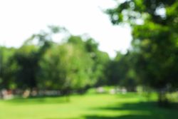 Blurred background of green summer park, space for text