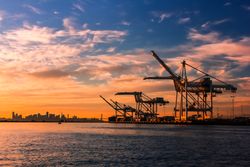 Crane at the port during sunset