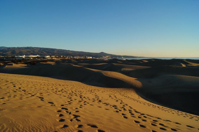 Sandy dunes with traces in sunlight