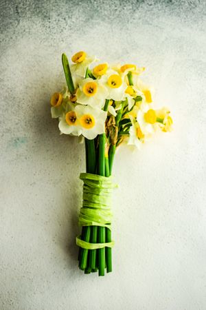 Bouquet of fresh spring daffodil flowers wrapped on grey counter