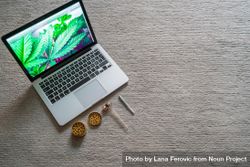 Laptop with bright marijuana photo with paraphernalia on carpet 4d9NLb