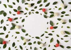 Green leaves and red berries on light background with paper card