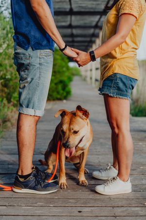 Happy adult couple relaxing with dog at countryside