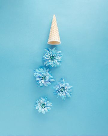 Blue flowers dropping from cone